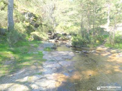 Joya Verde de Canencia — Un paseo por el Sestil del Maillo; rutas en bici madrid rutas a pie granja 